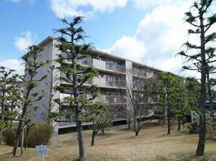 千里北町住宅Ａ２棟（206）の物件外観写真